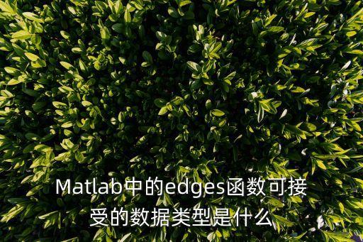 Matlab中的edges函數(shù)可接受的數(shù)據(jù)類型是什么