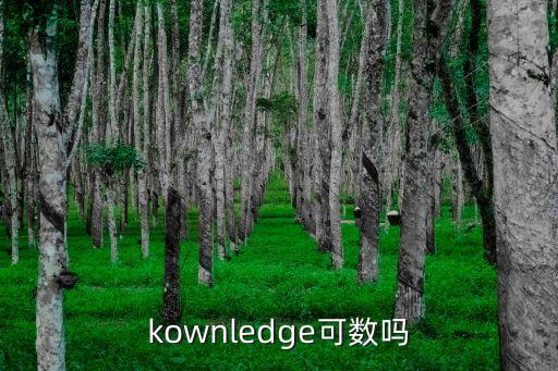 ledge，kownledge可數(shù)嗎