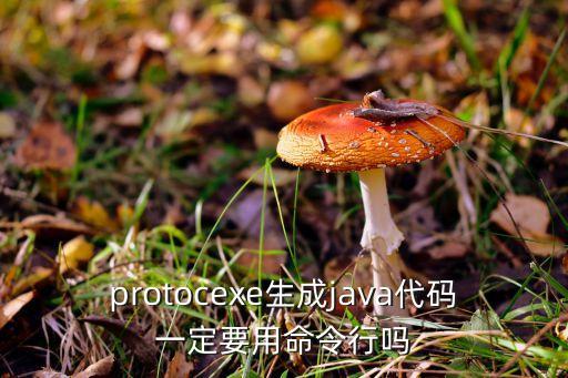 protoc，linux 和windows 的protoc生成的proto文件不同嗎