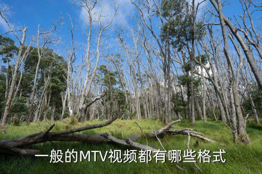 mtv格式，mtv與mp4一樣嗎