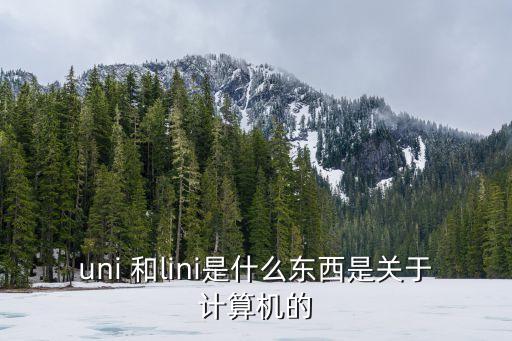 lini，李妮的大寫拼音怎么寫