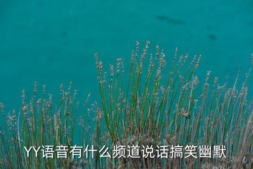 YY語音有什么頻道說話搞笑幽默