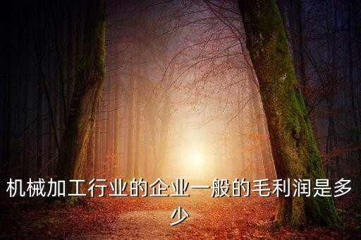 自動化公司毛利率多少,怎么看公司毛利率是多少?