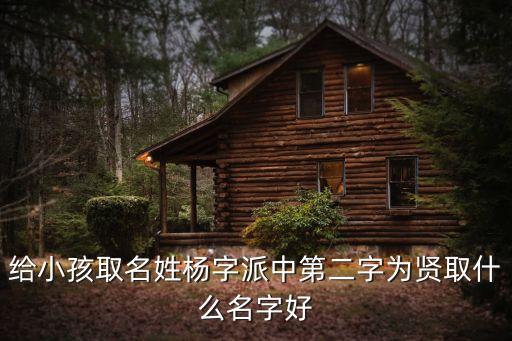 楊賢，楊賢的拼音怎么打