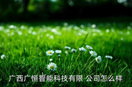 廣西廣恒智能科技有限 公司怎么樣
