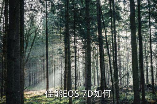 佳能EOS 7D如何