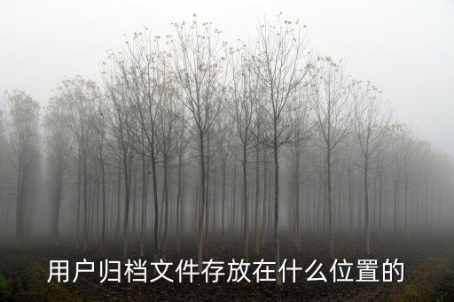 用戶歸檔文件存放在什么位置的