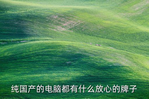 純國(guó)產(chǎn)的電腦都有什么放心的牌子