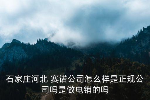 石家莊河北 賽諾公司怎么樣是正規(guī)公司嗎是做電銷的嗎