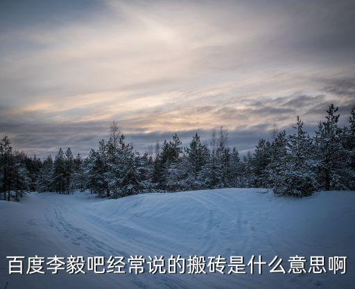 搬磚啥意思，百度李毅吧經常說的搬磚是什么意思啊