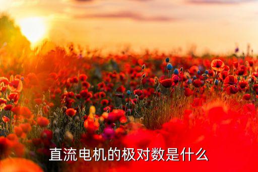 直流電機(jī)的極對(duì)數(shù)是什么