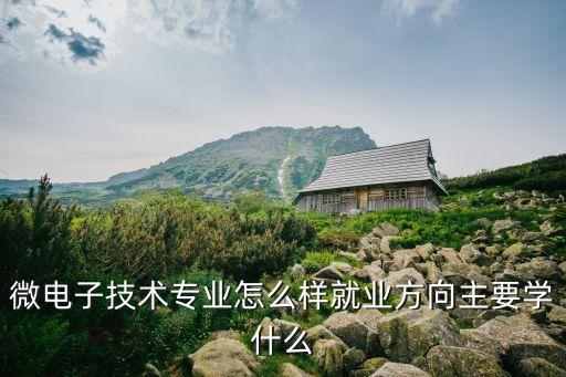集成電路版圖設(shè)計(jì),集成電路設(shè)計(jì),!!你在行嗎?，只要你在