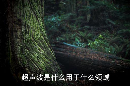  超聲波是什么用于什么領(lǐng)域