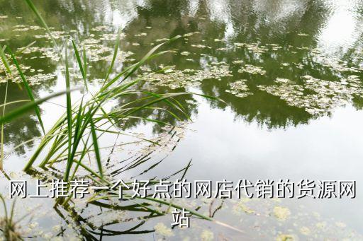 網(wǎng)上推薦一個(gè)好點(diǎn)的網(wǎng)店代銷的貨源網(wǎng)站