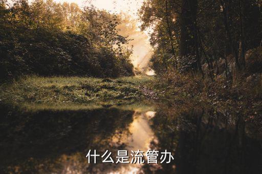 什么是流管辦