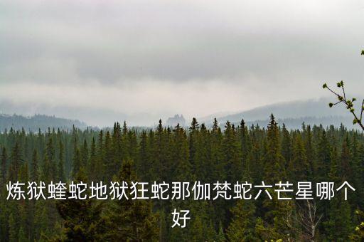 那伽梵蛇，razer那伽梵蛇怎么樣