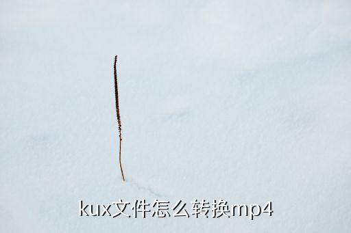kux文件怎么轉(zhuǎn)換mp4