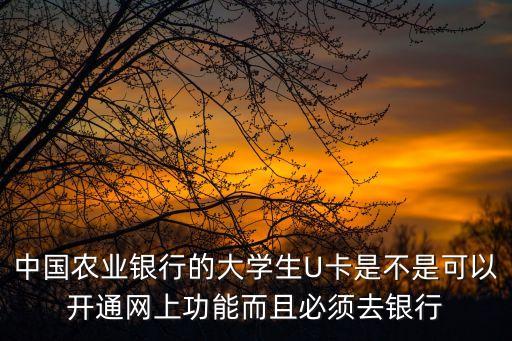 中國農業(yè)銀行的大學生U卡是不是可以開通網(wǎng)上功能而且必須去銀行