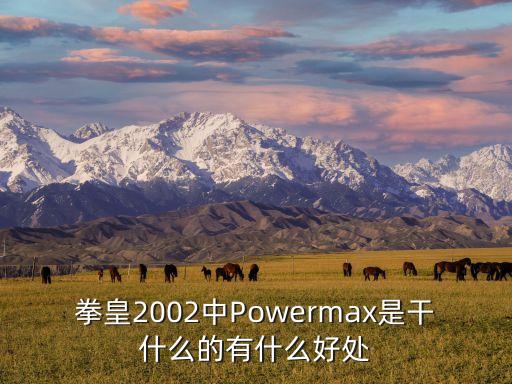 拳皇2002中Powermax是干什么的有什么好處