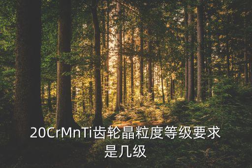 20CrMnTi齒輪晶粒度等級要求是幾級