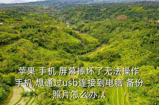  蘋果 手機(jī) 屏幕摔壞了無(wú)法操作 手機(jī),想通過usb連接到電腦 備份照片怎么辦...