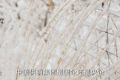 中國供銷集團是國企還是央企