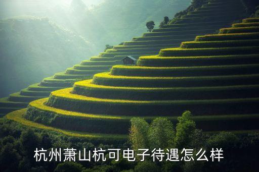 杭州蕭山杭可電子待遇怎么樣