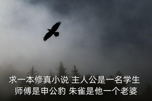 求一本修真小說(shuō) 主人公是一名學(xué)生 師傅是申公豹 朱雀是他一個(gè)老婆