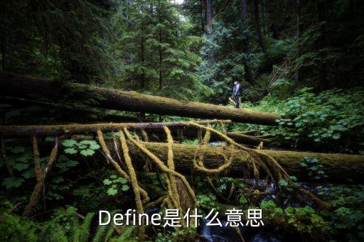 Define是什么意思