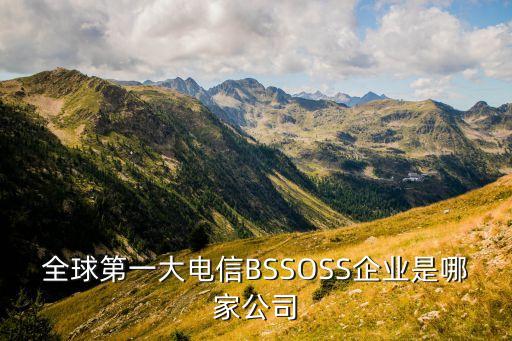 全球第一大電信BSSOSS企業(yè)是哪家公司