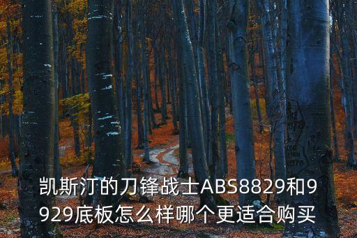 凱斯汀的刀鋒戰(zhàn)士ABS8829和9929底板怎么樣哪個(gè)更適合購買