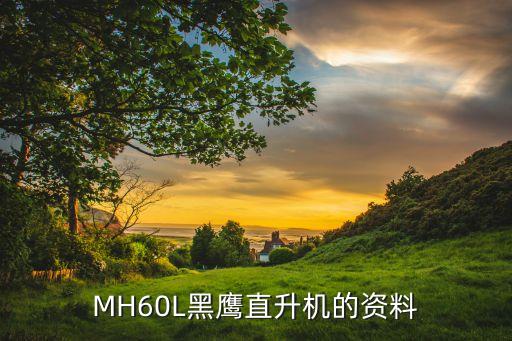 h160直升機(jī)，問下美軍的UH60CH47和CH53直升機(jī)各裝備于哪些部隊  搜