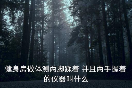 體測儀，體測儀什么品牌行啊知道的說下啊