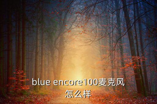 blue encore100麥克風(fēng)怎么樣