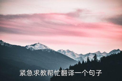 緊急求教幫忙翻譯一個句子