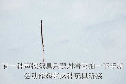 聲控玩具，有一種聲控玩具只要對它拍一下手它就會動起來這種玩具的工作是