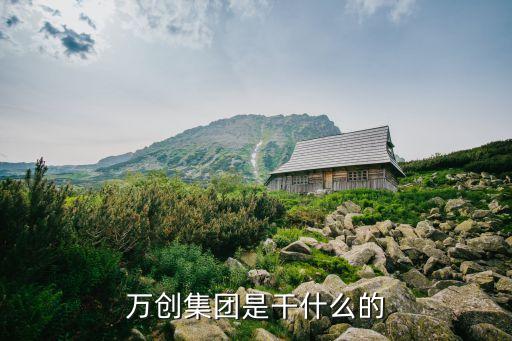 萬創(chuàng)集團(tuán)是干什么的