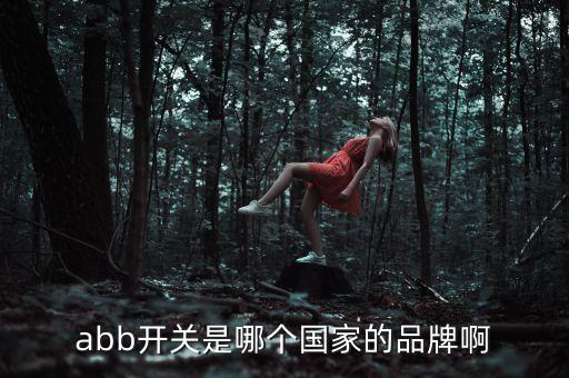abb是什么品牌，abb開關是哪個國家的品牌啊
