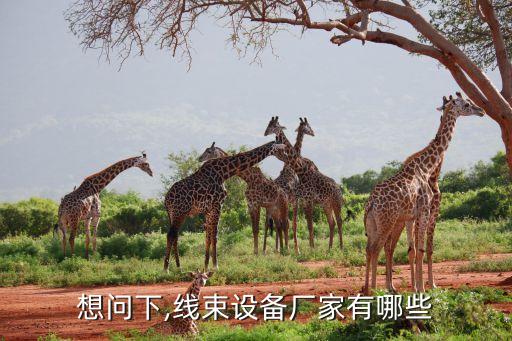 想問下,線束設備廠家有哪些