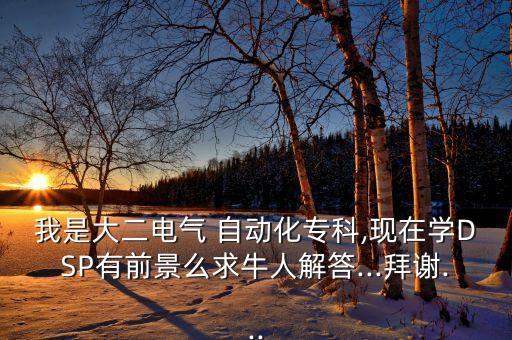 我是大二電氣 自動化?？?現(xiàn)在學(xué)DSP有前景么求牛人解答...拜謝...