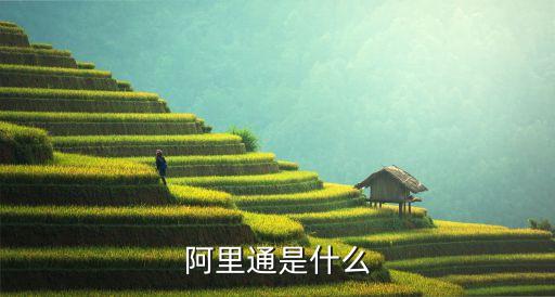 阿里通是什么