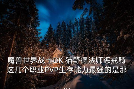 魔獸世界戰(zhàn)士DK 貓野德法師懲戒騎這幾個職業(yè)PVP生存能力最強的是那...