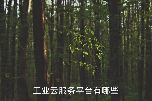 工業(yè)互聯(lián)網(wǎng)平臺(tái)，工業(yè)云服務(wù)平臺(tái)有哪些