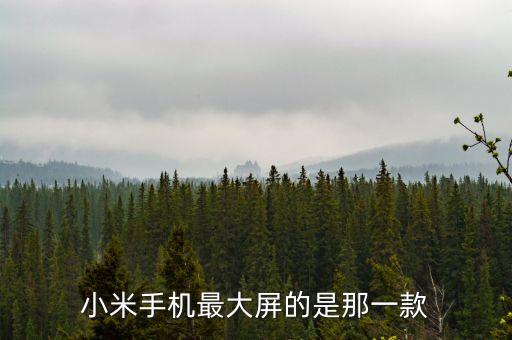小米大屏手機(jī)，屏幕最大的小米叫什么