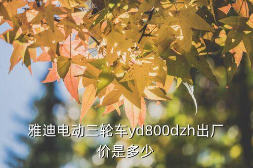雅迪電動三輪車yd800dzh出廠價(jià)是多少