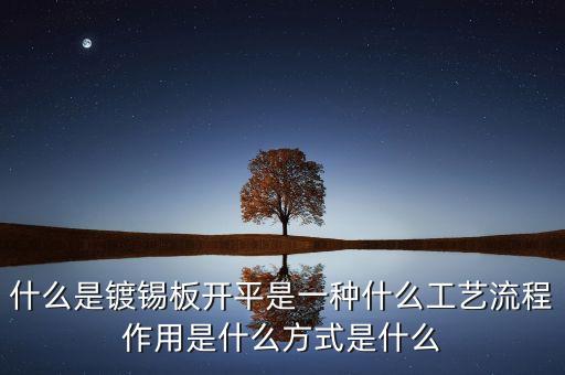 什么是鍍錫板開平是一種什么工藝流程作用是什么方式是什么