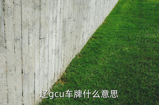 遼gcu車牌什么意思