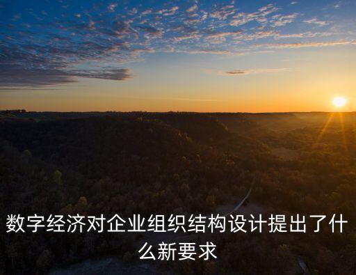 數(shù)字經(jīng)濟(jì)對企業(yè)組織結(jié)構(gòu)設(shè)計(jì)提出了什么新要求
