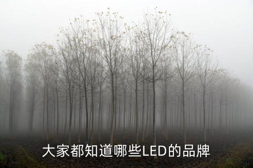 大家都知道哪些LED的品牌