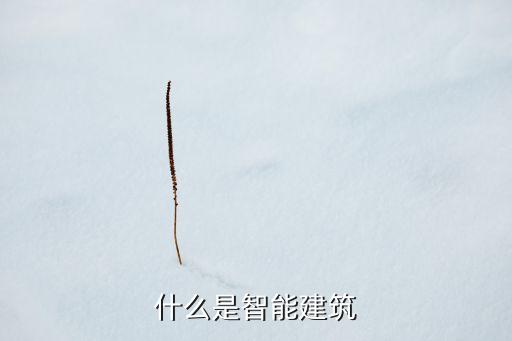 什么是智能建筑